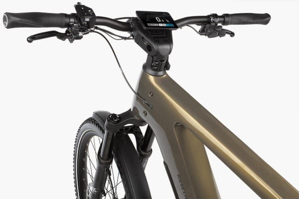 Riese & Müller Delite5 Pinion Electric Bike – Bild 3